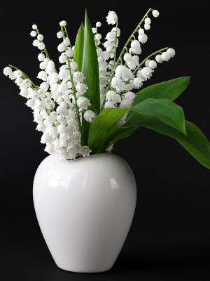 Lily of the Valley