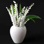 Lily of the Valley