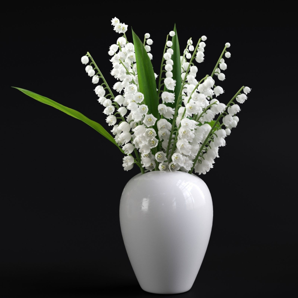 Lily of the Valley