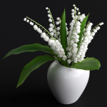 Lily of the Valley