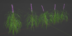 Lilyturf plants outdoor collection vol 131-Blender