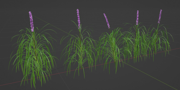Lilyturf plants outdoor collection vol 131-Blender