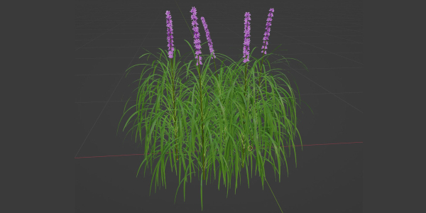 Lilyturf plants outdoor collection vol 131-Blender