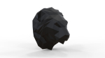 Lion head animal