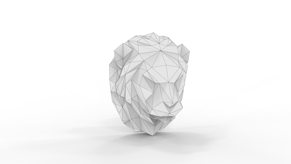 Lion head animal
