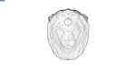 Lion head animal