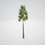 Lite Forest MegaPack
