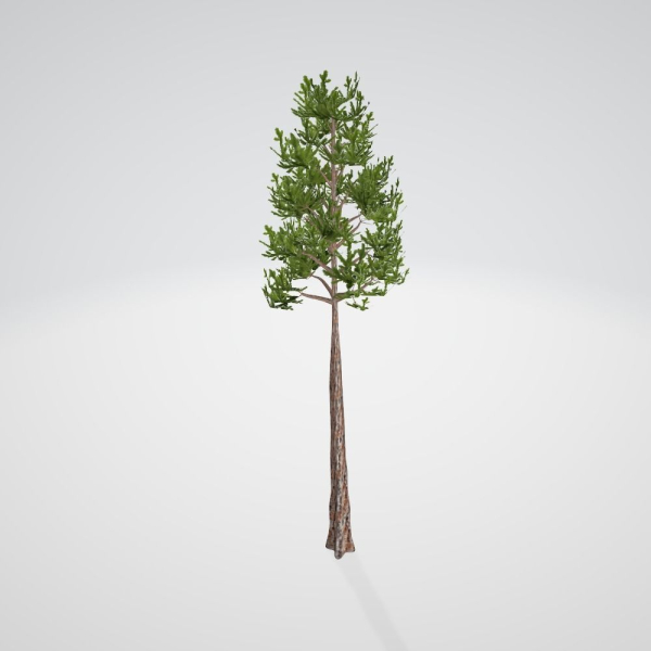 Lite Forest MegaPack