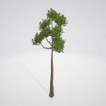 Lite Forest MegaPack