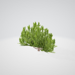 Lite Forest MegaPack
