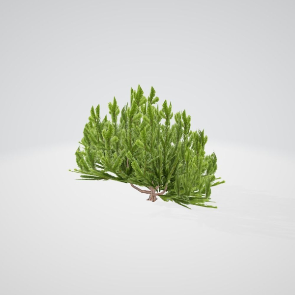 Lite Forest MegaPack