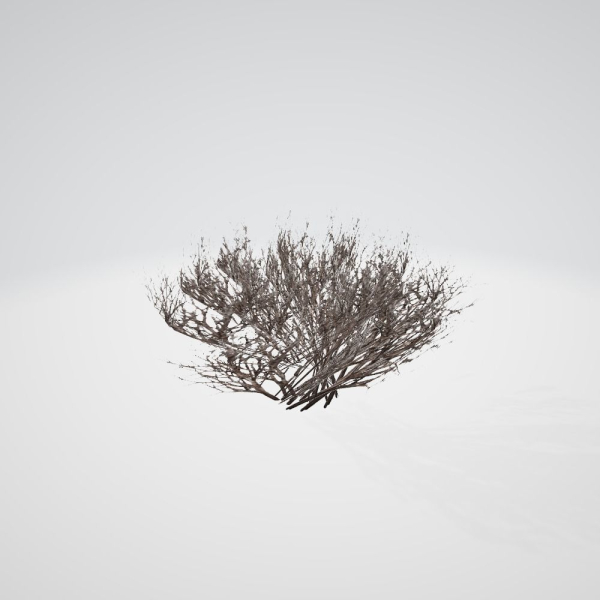Lite Forest MegaPack