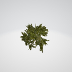 Lite Forest MegaPack