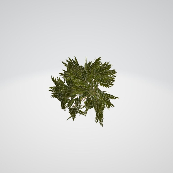 Lite Forest MegaPack