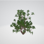 Lite Forest MegaPack