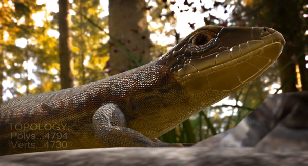 Lizard Lacerta Vivipara