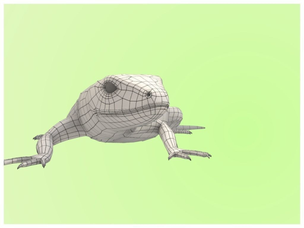 Lizard Lacerta Vivipara