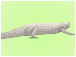 Lizard Lacerta Vivipara