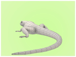 Lizard Lacerta Vivipara