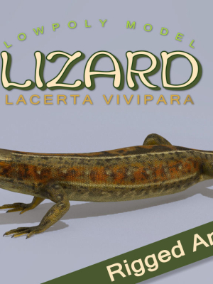 Lizard Lacerta Vivipara
