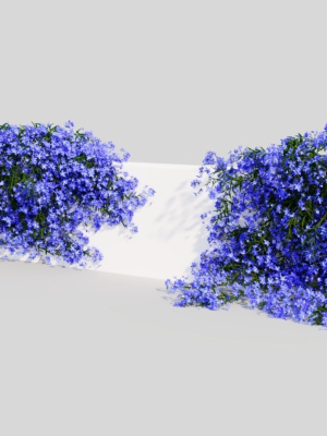 lobelia-erinus-b-3d-model-3cdf81630e