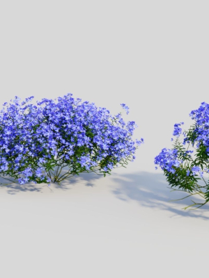 lobelia-erinus-c-3d-model-21d8ddcf1f