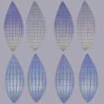 Lomatogonium Collection vol02