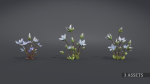 Lomatogonium Collection vol02