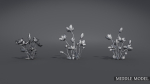 Lomatogonium Collection vol02