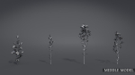 Lomatogonium Collection vol02