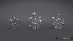 Lomatogonium Collection vol02