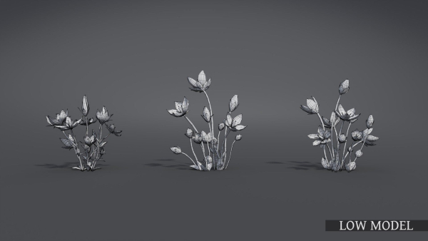 Lomatogonium Collection vol02
