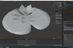 lotus water lily