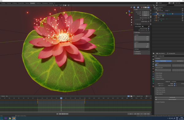 lotus water lily