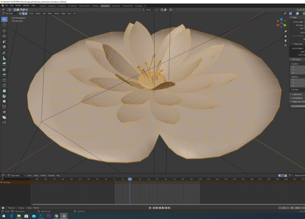 lotus water lily