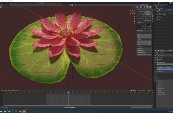 lotus water lily