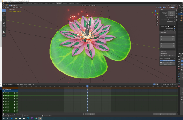 lotus water lily