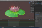 lotus water lily