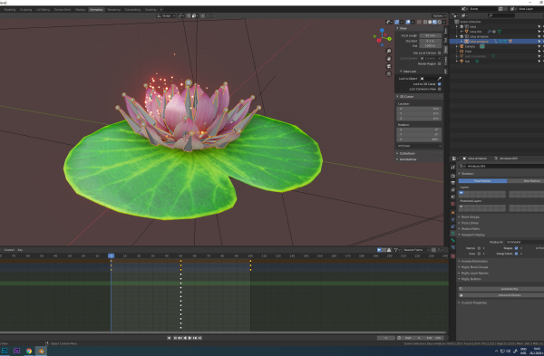 lotus water lily
