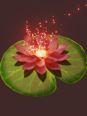 lotus water lily