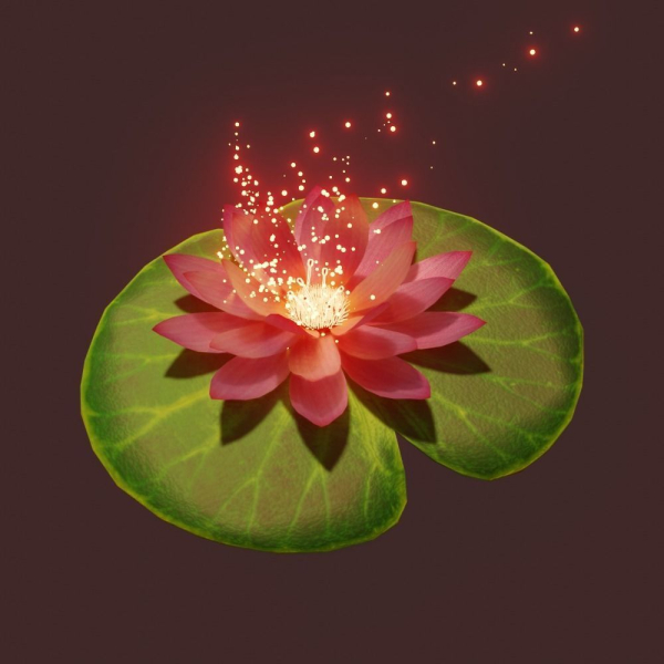 lotus water lily