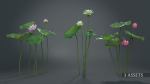 Lotus Collection vol07
