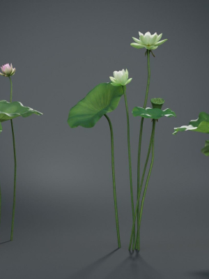 lotus-collection-vol07-3d-model-low-poly-obj-blend