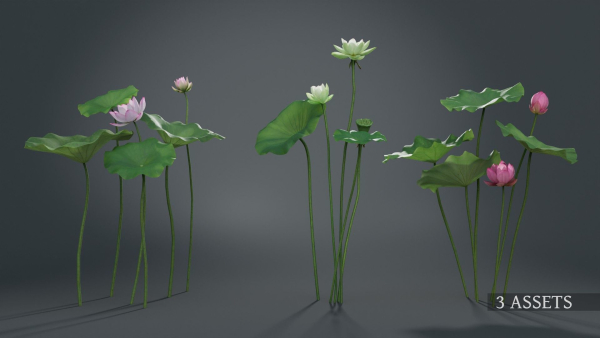 Lotus Collection vol07