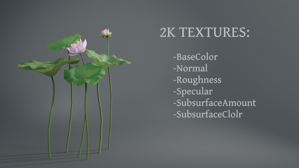 Lotus Collection vol07