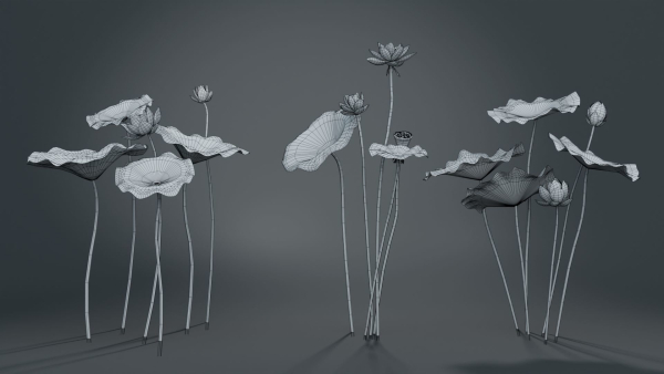 Lotus Collection vol07