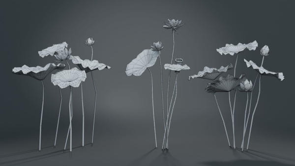 Lotus Collection vol07