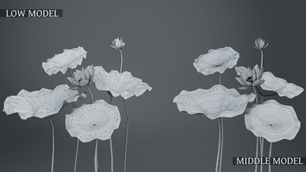Lotus Collection vol07
