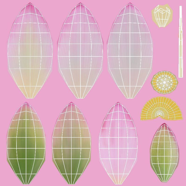 Lotus Collection vol07