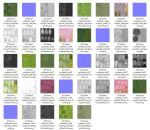 Lotus Collection vol07